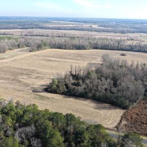Photo #31 of Lot 2 Off of Euray Moore Road, Warsaw, NC 10.1 acres