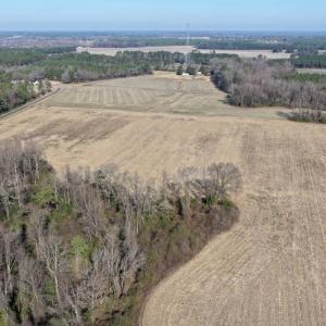Photo #11 of Lot 2 Off of Euray Moore Road, Warsaw, NC 10.1 acres