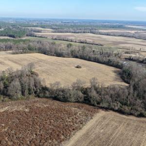 Photo #12 of Lot 3 Off of  Euray Moore Road, Warsaw, NC 10.1 acres