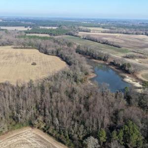 Photo #13 of Lot 3 Off of  Euray Moore Road, Warsaw, NC 10.1 acres