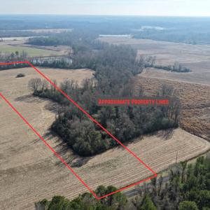 Photo #5 of Lot 3 Off of  Euray Moore Road, Warsaw, NC 10.1 acres