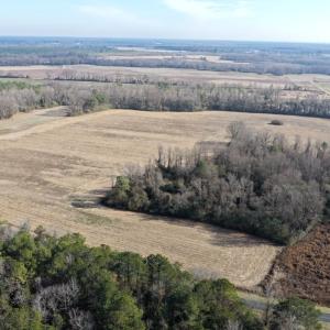 Photo #6 of Lot 3 Off of  Euray Moore Road, Warsaw, NC 10.1 acres