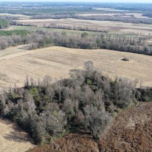 Photo #38 of Lot 3 Off of  Euray Moore Road, Warsaw, NC 10.1 acres