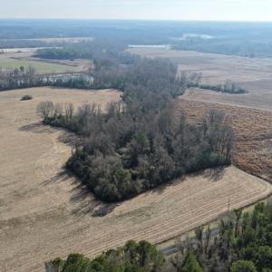 Photo #40 of Lot 3 Off of  Euray Moore Road, Warsaw, NC 10.1 acres