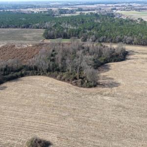 Photo #41 of Lot 3 Off of  Euray Moore Road, Warsaw, NC 10.1 acres