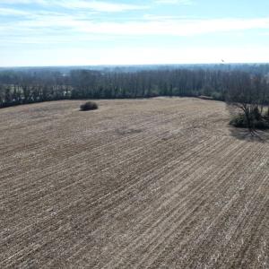 Photo #43 of Lot 3 Off of  Euray Moore Road, Warsaw, NC 10.1 acres