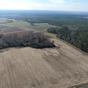 Photo #19 of Lot 4 Off of  Euray Moore Road, Warsaw, NC 12.2 acres