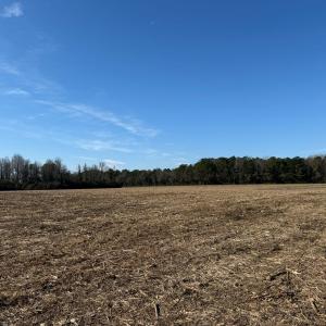 Photo #23 of Lot 4 Off of  Euray Moore Road, Warsaw, NC 12.2 acres