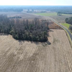 Photo #24 of Lot 4 Off of  Euray Moore Road, Warsaw, NC 12.2 acres