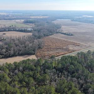Photo #5 of Lot 4 Off of  Euray Moore Road, Warsaw, NC 12.2 acres