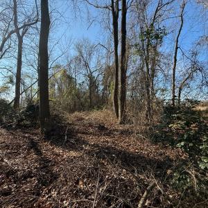 Photo #39 of Lot 4 Off of  Euray Moore Road, Warsaw, NC 12.2 acres