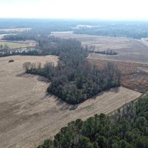 Photo #8 of Lot 4 Off of  Euray Moore Road, Warsaw, NC 12.2 acres