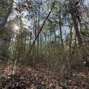 Photo #36 of Lot 5 Off of  Euray Moore Road, Warsaw, NC 6.2 acres
