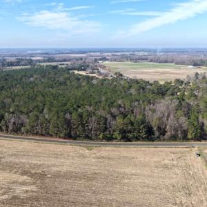Photo #21 of Lot 6 Off of Euray Moore Road, Warsaw, NC 5.6 acres