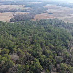 Photo #39 of Lot 6 Off of Euray Moore Road, Warsaw, NC 5.6 acres