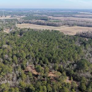 Photo #40 of Lot 6 Off of Euray Moore Road, Warsaw, NC 5.6 acres
