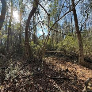 Photo #17 of Lot 7 Off of Euray Moore Road, Warsaw, NC 2.7 acres