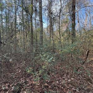 Photo #35 of Lot 7 Off of Euray Moore Road, Warsaw, NC 2.7 acres