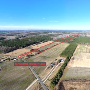 Photo #2 of Off Joe Gardner Road, Grifton, NC 28.0 acres