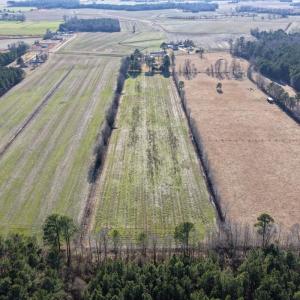 Photo #14 of Off Joe Gardner Road, Grifton, NC 28.0 acres