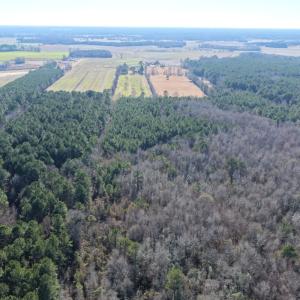 Photo #19 of Off Joe Gardner Road, Grifton, NC 28.0 acres