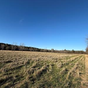 Photo #20 of Off Joe Gardner Road, Grifton, NC 28.0 acres