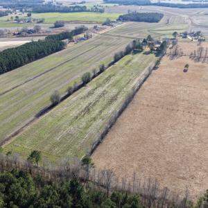 Photo #4 of Off Joe Gardner Road, Grifton, NC 28.0 acres