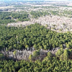 Photo #8 of Off Joe Gardner Road, Grifton, NC 28.0 acres