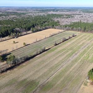 Photo #9 of Off Joe Gardner Road, Grifton, NC 28.0 acres