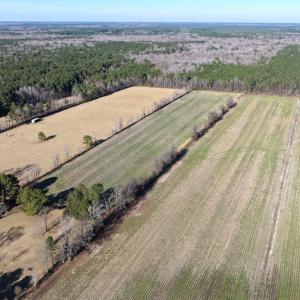 Photo #10 of Off Joe Gardner Road, Grifton, NC 28.0 acres