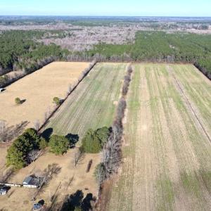 Photo #11 of Off Joe Gardner Road, Grifton, NC 28.0 acres
