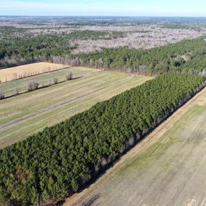 Photo #12 of Off Joe Gardner Road, Grifton, NC 28.0 acres