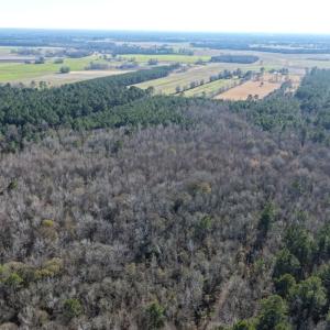 Photo #26 of Off Joe Gardner Road, Grifton, NC 28.0 acres