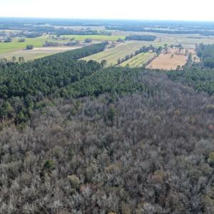 Photo #27 of Off Joe Gardner Road, Grifton, NC 28.0 acres