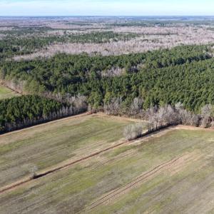 Photo #29 of Off Joe Gardner Road, Grifton, NC 28.0 acres