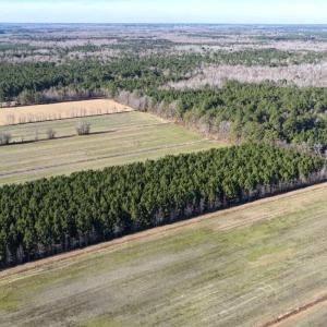 Photo #30 of Off Joe Gardner Road, Grifton, NC 28.0 acres