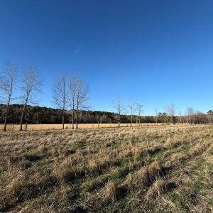 Photo #32 of Off Joe Gardner Road, Grifton, NC 28.0 acres