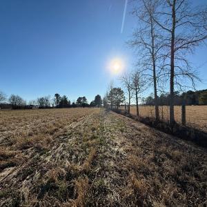 Photo #33 of Off Joe Gardner Road, Grifton, NC 28.0 acres