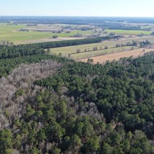 Photo #36 of Off Joe Gardner Road, Grifton, NC 28.0 acres