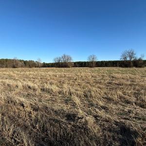 Photo #38 of Off Joe Gardner Road, Grifton, NC 28.0 acres