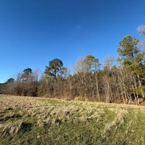 Photo #39 of Off Joe Gardner Road, Grifton, NC 28.0 acres