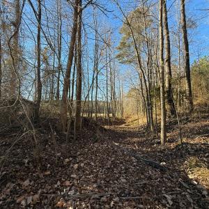 Photo #42 of Off Joe Gardner Road, Grifton, NC 28.0 acres