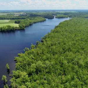 Photo #3 of Off Knobbs Creek Rd, Elizabeth City, NC 611.0 acres