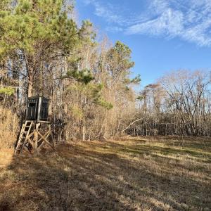 Photo #4 of Off Knobbs Creek Rd, Elizabeth City, NC 611.0 acres