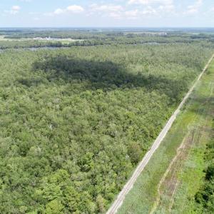 Photo #7 of Off Knobbs Creek Rd, Elizabeth City, NC 611.0 acres