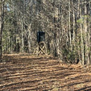 Photo #10 of Off Knobbs Creek Rd, Elizabeth City, NC 611.0 acres
