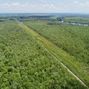 Photo #11 of Off Knobbs Creek Rd, Elizabeth City, NC 611.0 acres