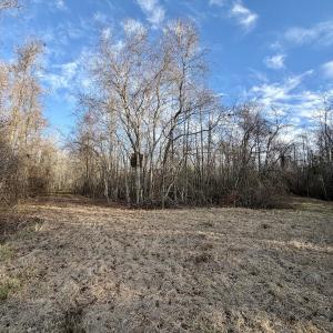 Photo #12 of Off Knobbs Creek Rd, Elizabeth City, NC 611.0 acres