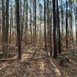 Photo #14 of Off Knobbs Creek Rd, Elizabeth City, NC 611.0 acres