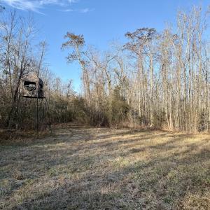 Photo #18 of Off Knobbs Creek Rd, Elizabeth City, NC 611.0 acres